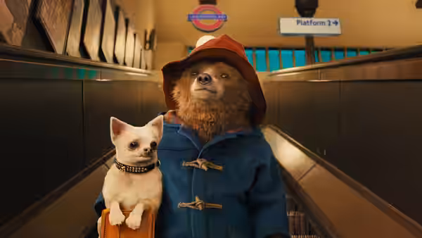 Paddington holds a white cat on a station platform
