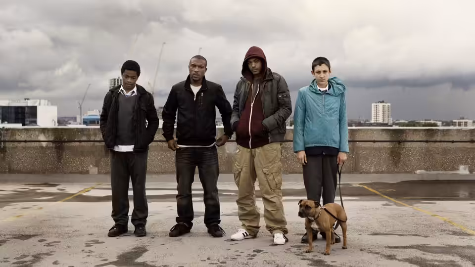 Four young men standing on a rooftop with a dog on a leash