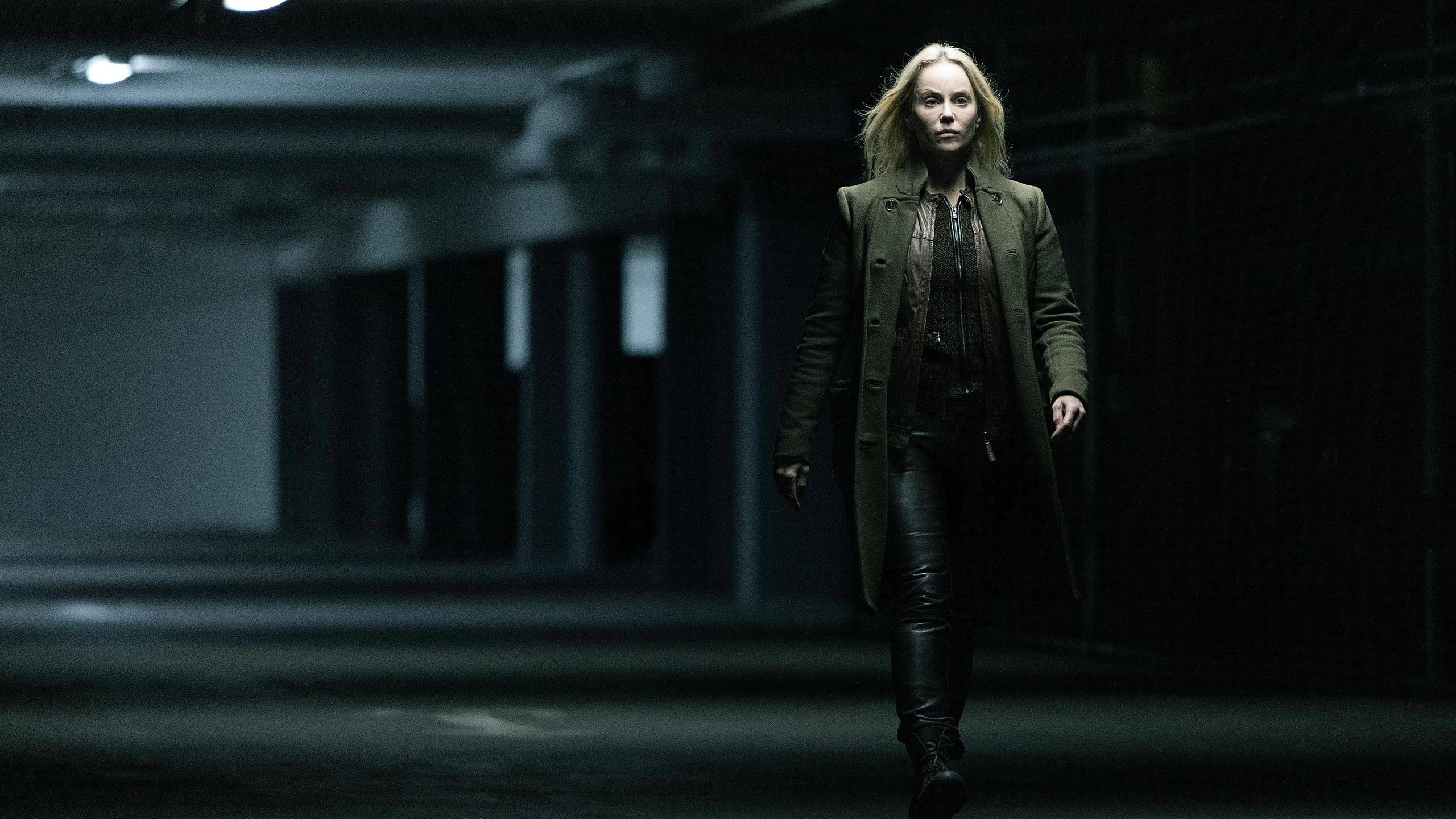 The Bridge, still 4