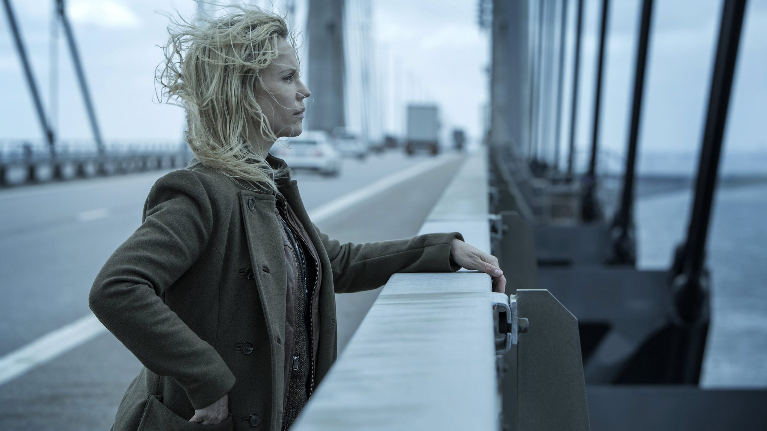 The Bridge, still 3