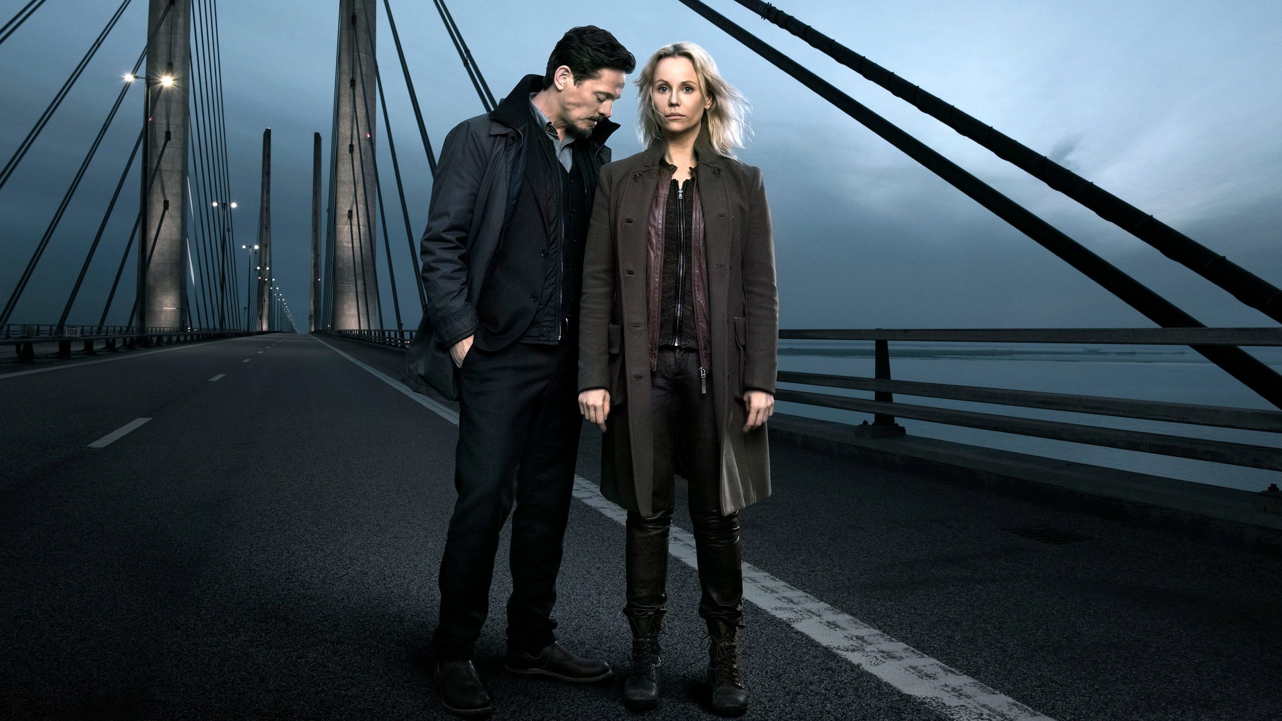 The Bridge, still 6