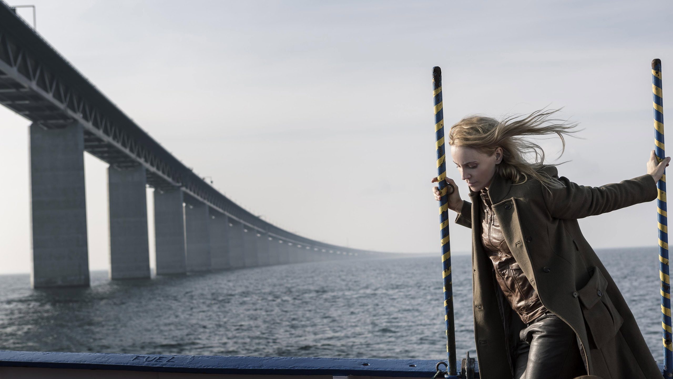 The Bridge, still 5