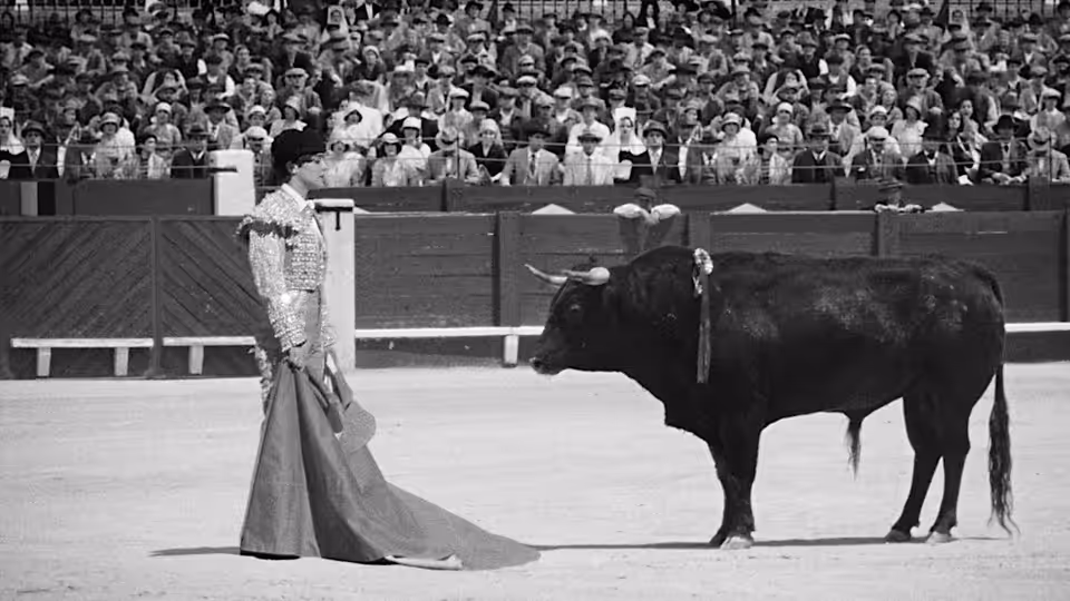 Antonio Villalta (Daniel Giménez Cacho) faces a bull in a crowded bullring