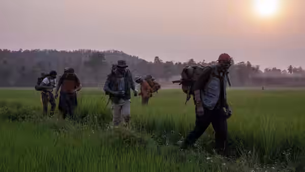 Five men with backpacks trek through a green field beneath the setting sun
