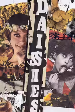 Daisies poster 3