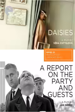 Daisies poster 6