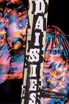 Daisies poster 5