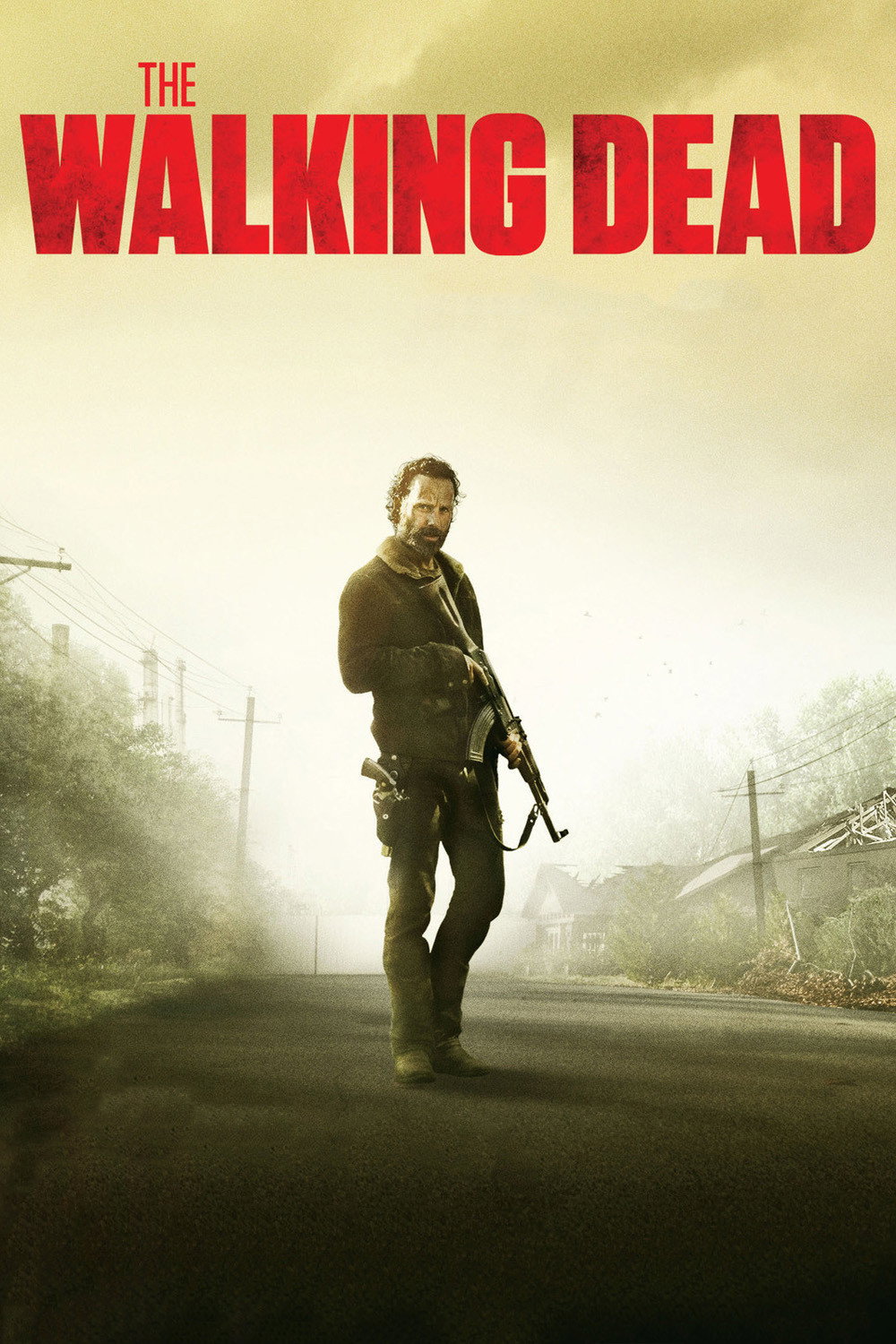 The Walking Dead poster 5