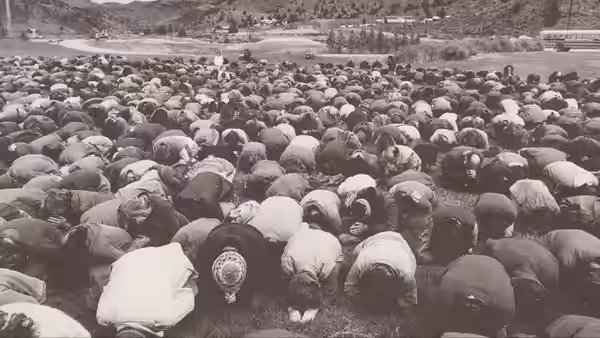 Hundreds of people in head coverings bow prostrate together on a grassy field