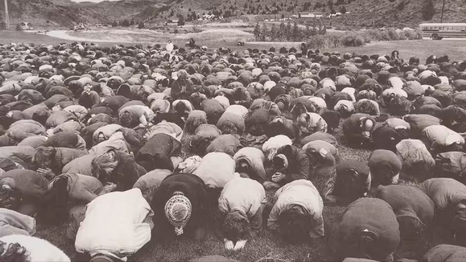 Hundreds of people in head coverings bow prostrate together on a grassy field