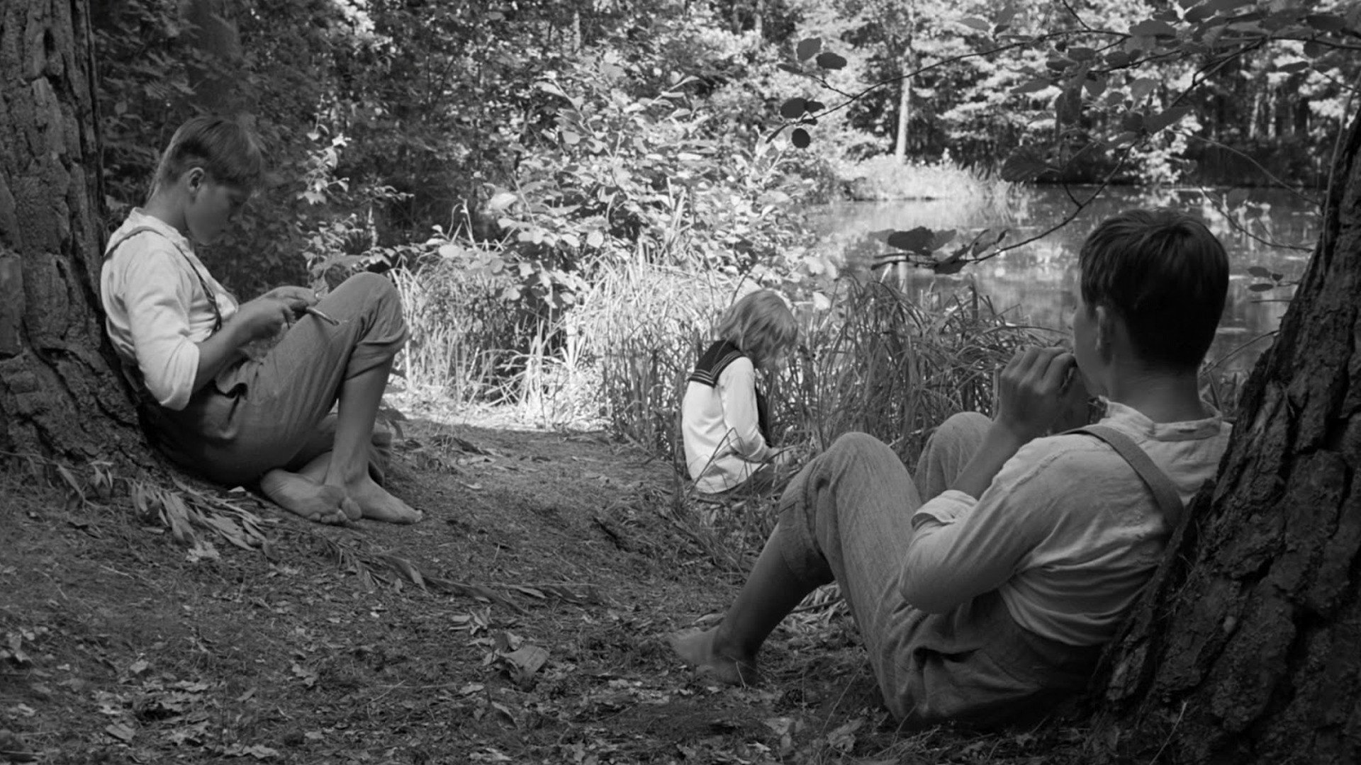 The White Ribbon, still 5