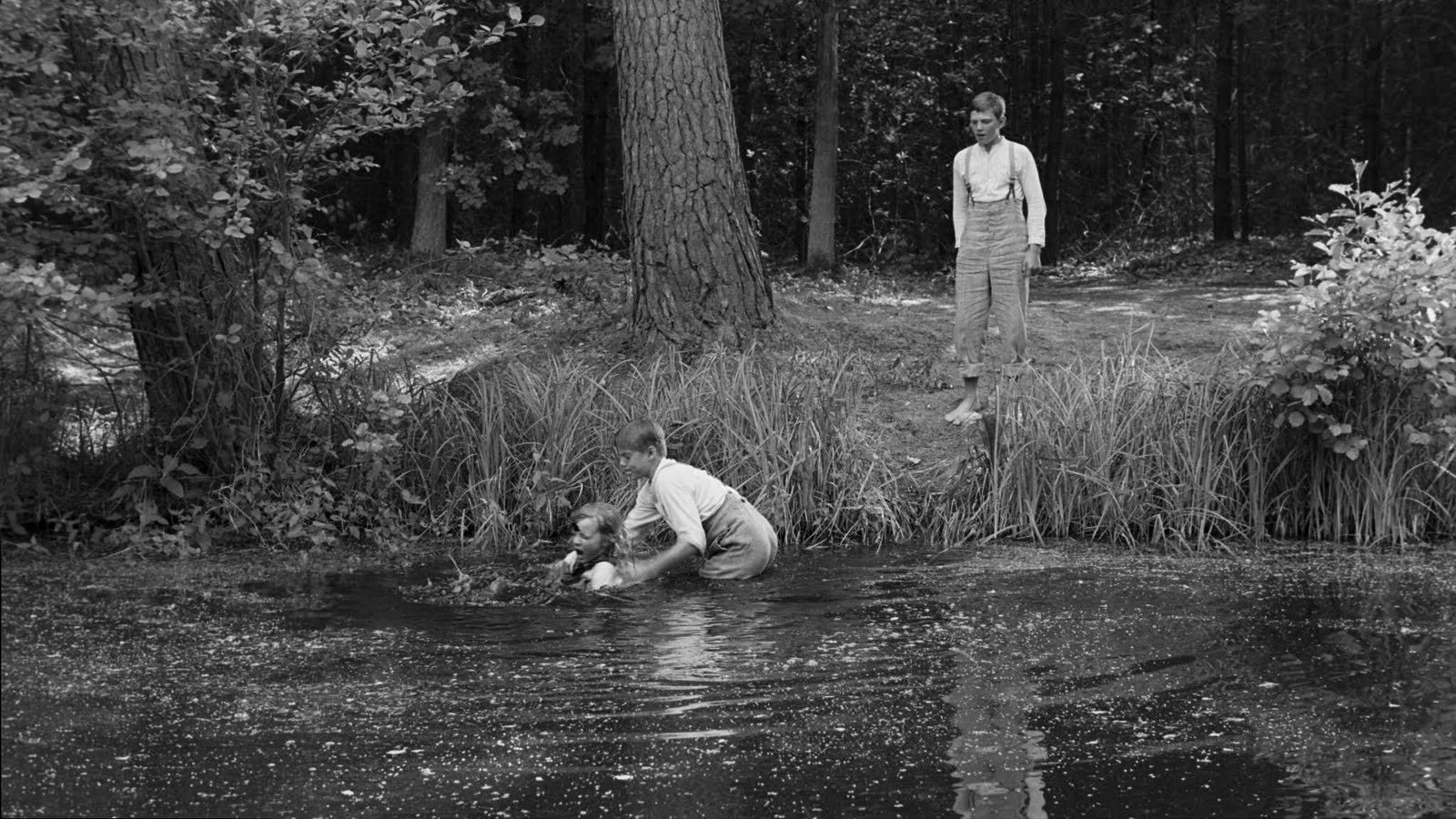 The White Ribbon, still 4