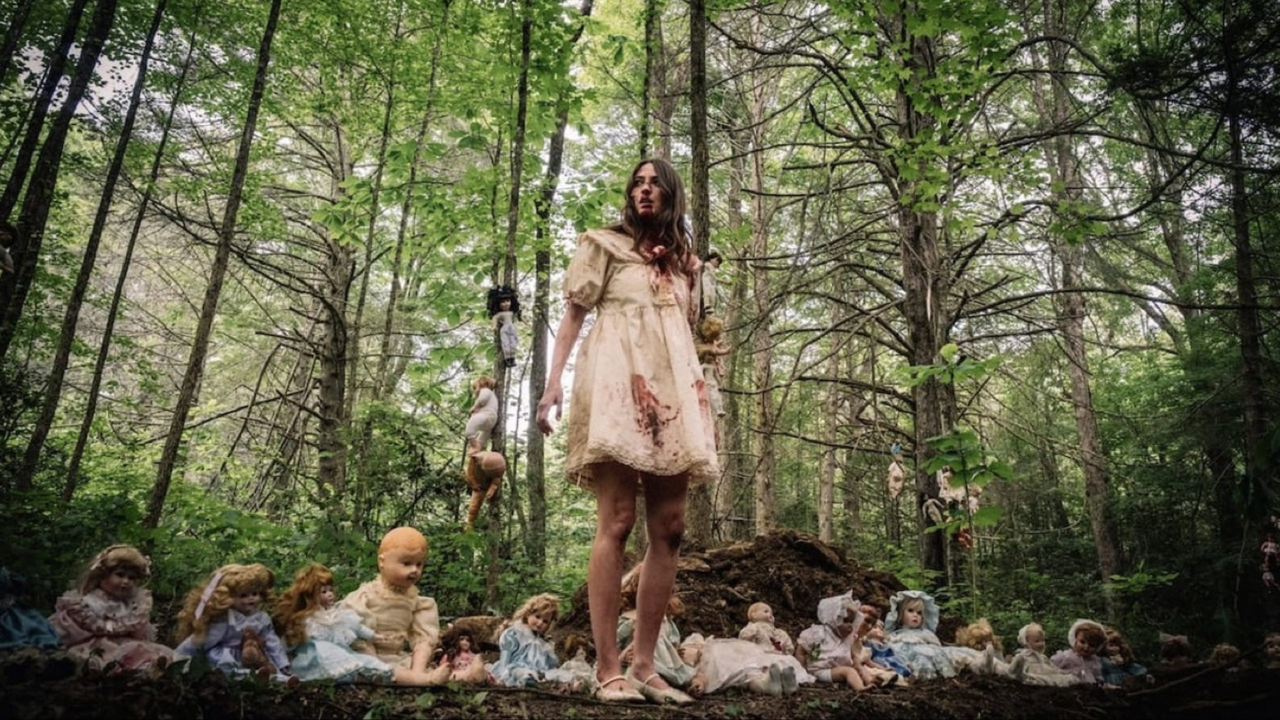 Dolly, still 5