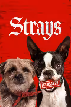 Strays poster