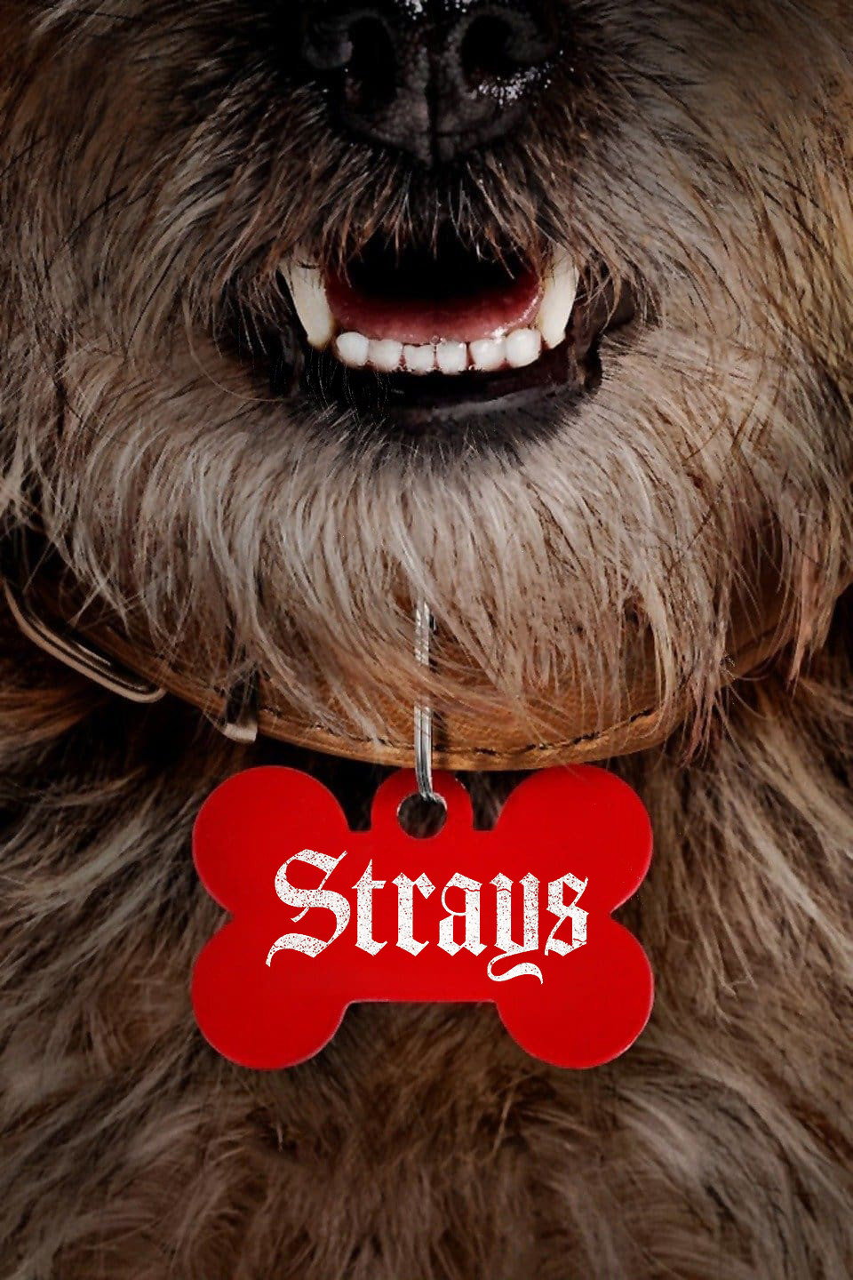 Strays poster