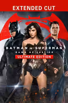 Batman v Superman: Dawn of Justice poster 3