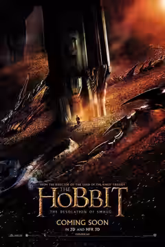 The Hobbit: The Desolation of Smaug poster 4
