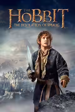 The Hobbit: The Desolation of Smaug poster 3