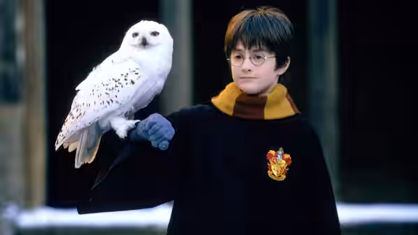 Harry Potter and the Philosopher's Stone, still 5