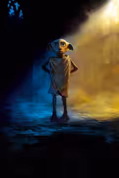 Harry Potter and the Chamber of Secrets poster 4