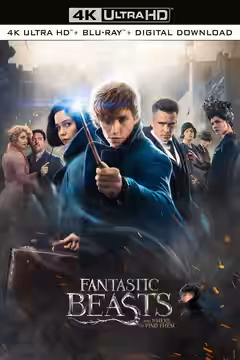 Fantastic Beasts and Where to Find Them poster 3