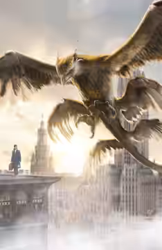 Fantastic Beasts and Where to Find Them poster 6