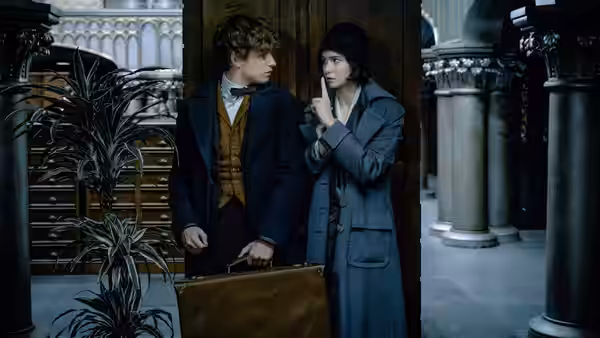 Fantastic Beasts and Where to Find Them, still 2