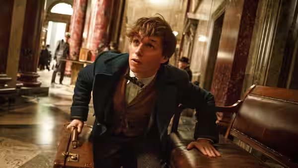 Fantastic Beasts and Where to Find Them, still 1