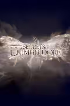 Fantastic Beasts: The Secrets of Dumbledore poster 6