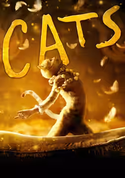 Cats poster 4