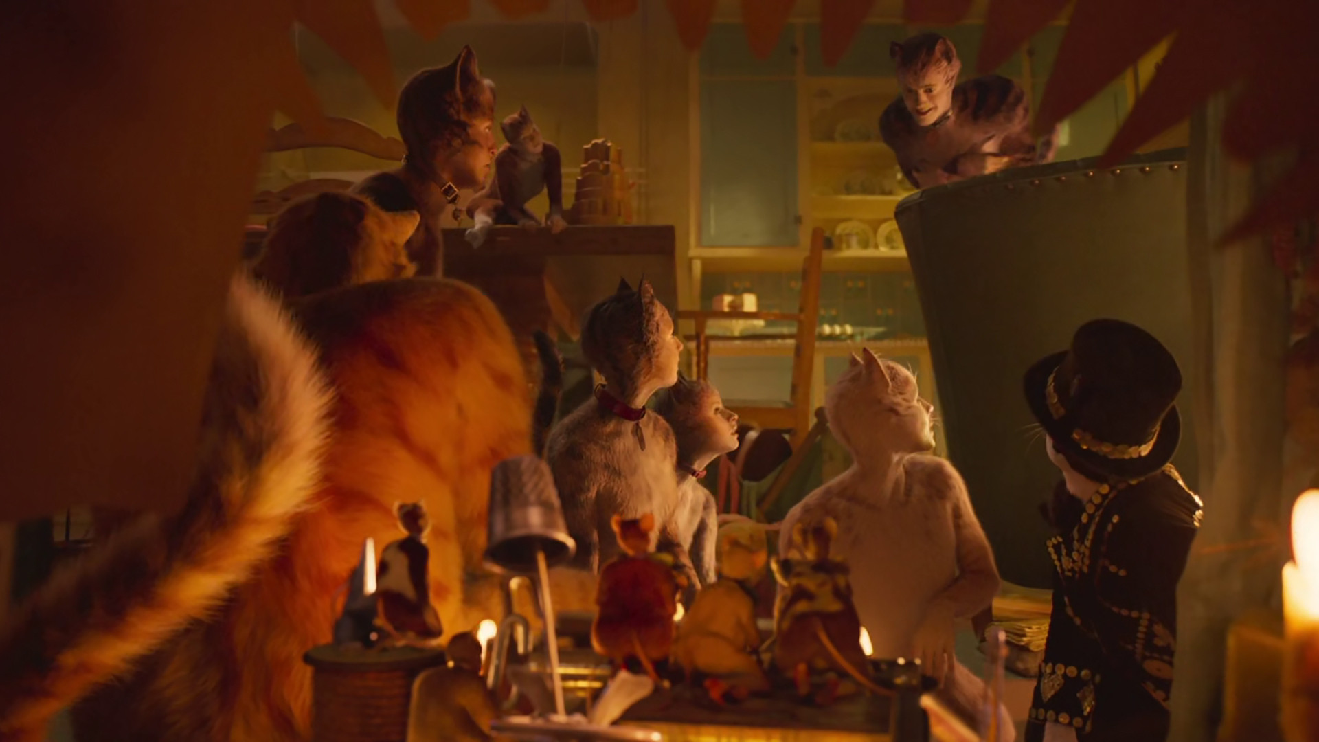 Cats, still 6