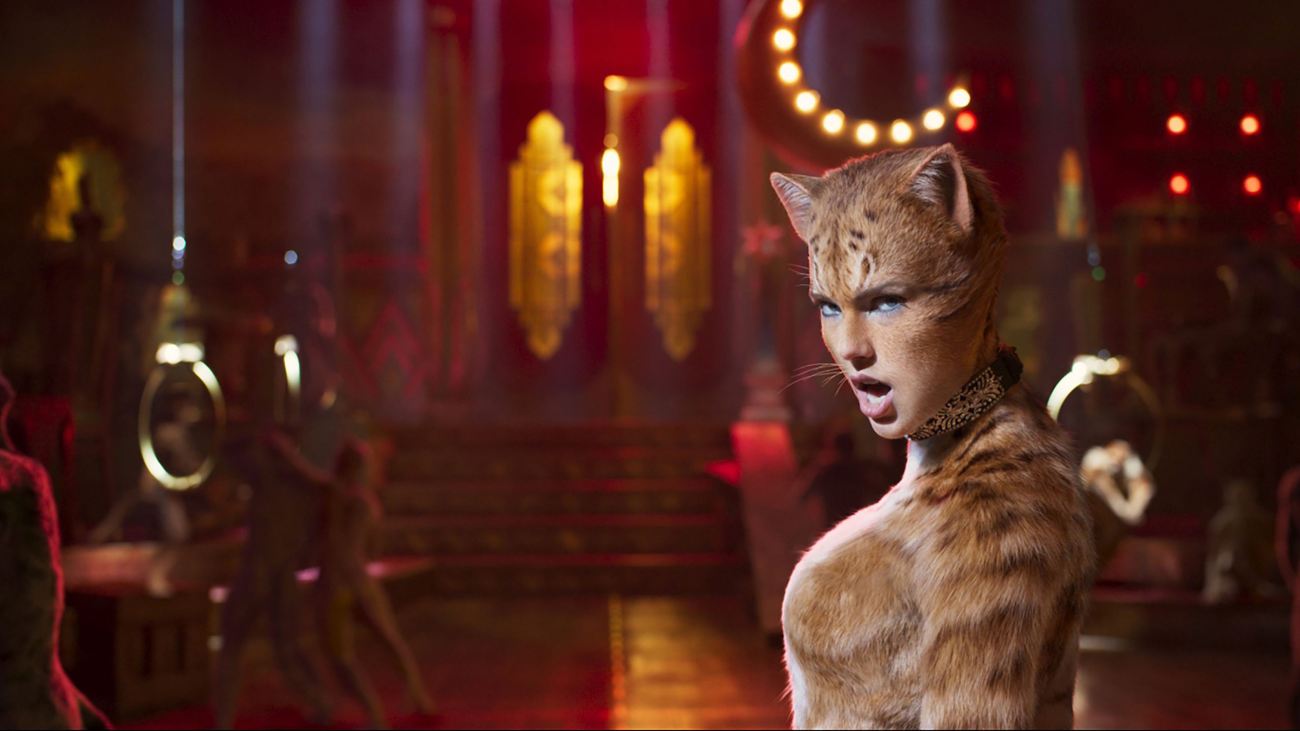 Cats, still 3
