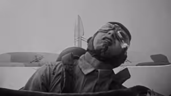 Wings, still 5