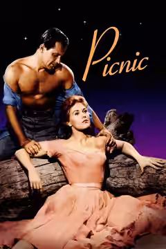 Picnic poster 2