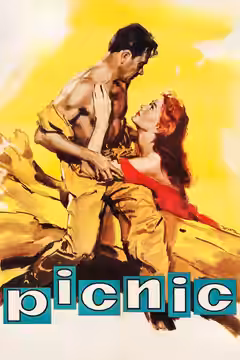 Picnic poster