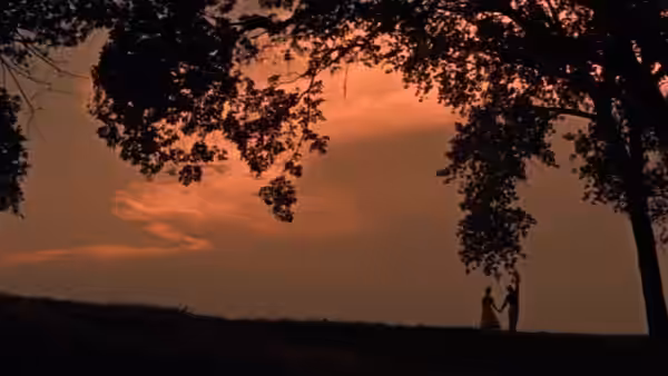 Picnic, still 5
