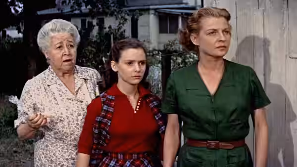 Picnic, still 4