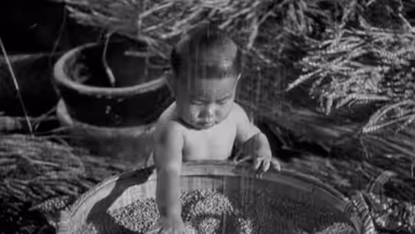 The Good Earth, still 4