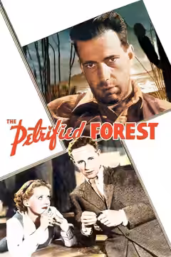 The Petrified Forest poster