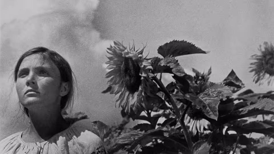 A woman gazes upward beside tall sunflowers in a field