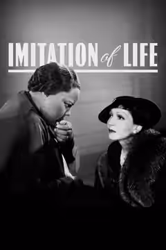 Imitation of Life poster 5