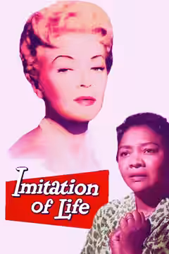 Imitation of Life poster 6