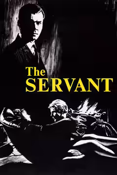 The Servant poster 4