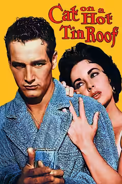 Cat on a Hot Tin Roof poster