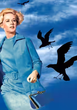 The Birds poster 2