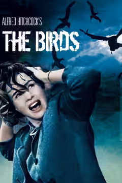 The Birds poster 4