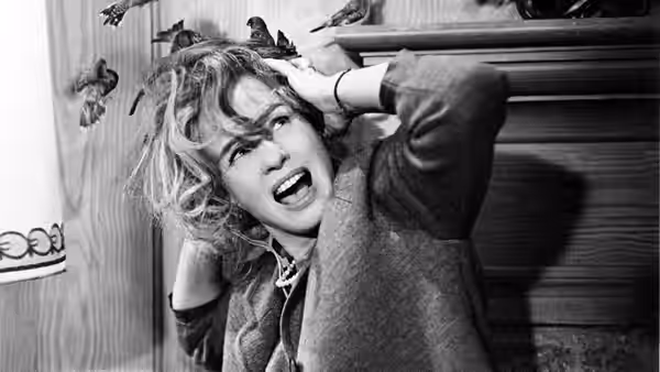 Melanie Daniels (Tippi Hedren) shields her head as birds perch on the mantel
