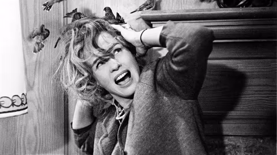 Melanie Daniels (Tippi Hedren) shields her head as birds perch on the mantel