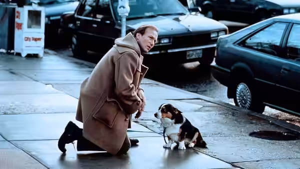 The Accidental Tourist, still 4