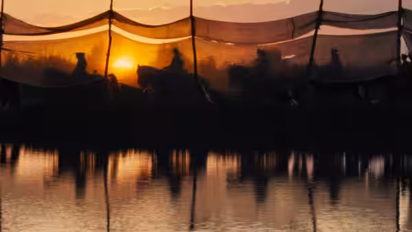 War Horse, still 3